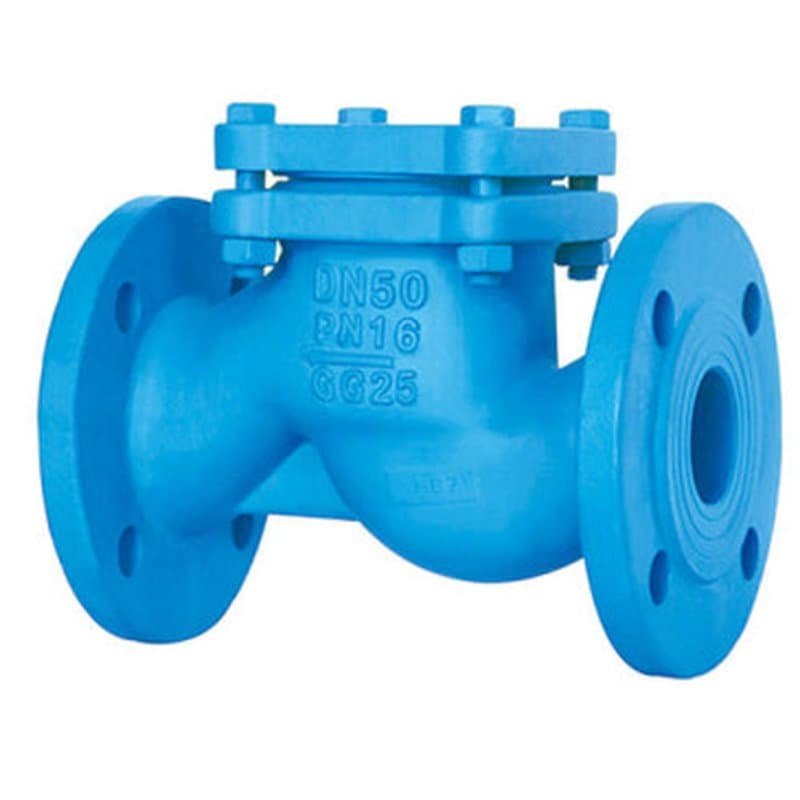 Клапан обратный подъемный Tecofi CS3240 Ду25 Ру16 фланцевый, корпус — чугун