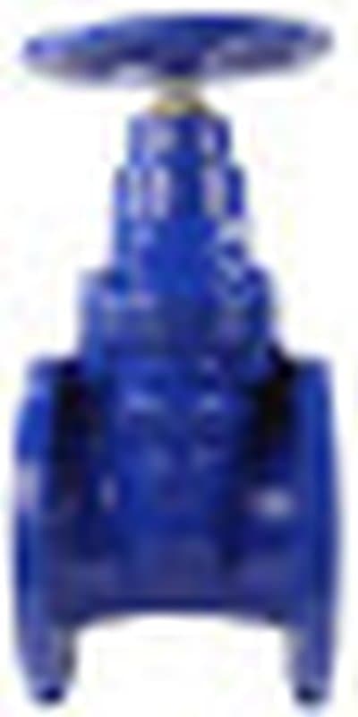 Задвижка с обрезиненным клином Нептун 30ч39р Ду150 Ру16 чугунная с невыдвижным шпинделем