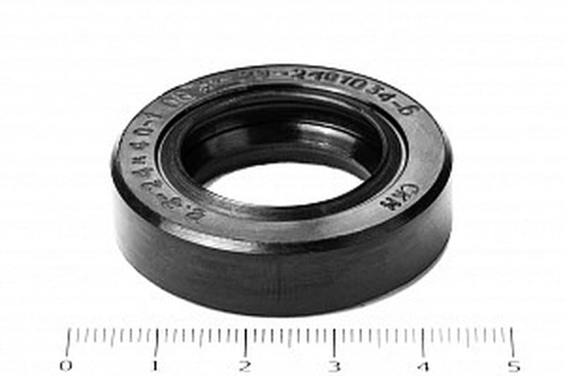 Сальник (манжета армированная) 2.2-24х40х10 (20-2401034-Б) ГОСТ 8752-79